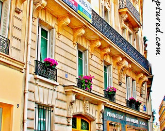 Paris Apartment