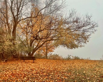 Serene Lake View (Michigan Fall Colors)