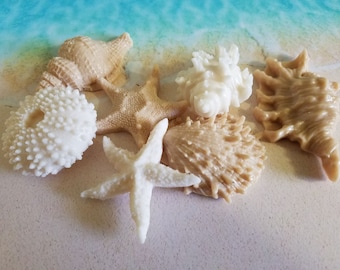 Seashell Conch Sea Shell Sea Urchin Soaps, Nautical and Birthday Party or Sea Theme Bathrooms, Gentle Glycerin Soap