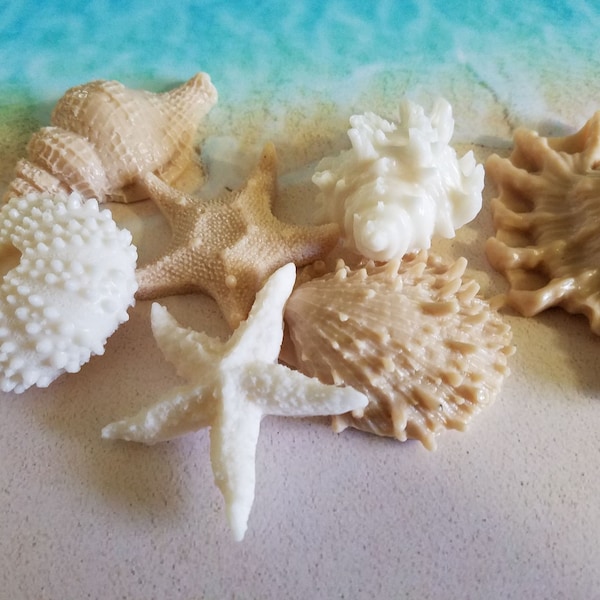 Seashell Conch Sea Shell Sea Urchin Soaps, Nautical and Birthday Party or Sea Theme Bathrooms, Gentle Glycerin Soap