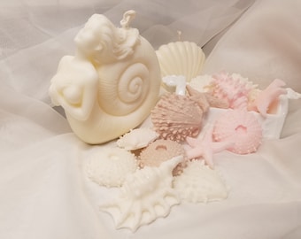 Beach Theme Seashell Wax Melts, Sea Shell Novelty Wax Melts Including Conch and Sea Urchin Seashells, Nautical Party Favors,