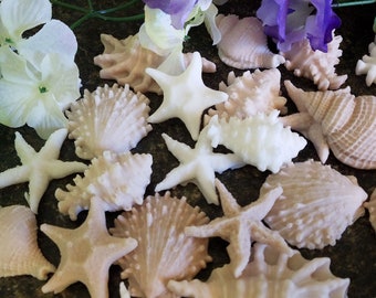 Seashell Conch Sea Shell Sea Urchin Bulk Soaps, Nautical and Birthday Party or Sea Theme Bathrooms