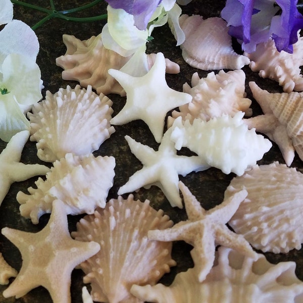 Seashell Conch Sea Shell Sea Urchin Bulk Soaps, Nautical and Birthday Party or Sea Theme Bathrooms