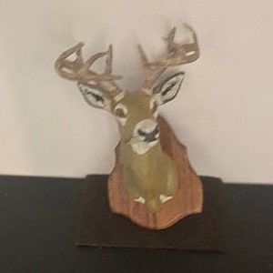 Deer head mounted  on wooden background. Vintage. The head is cast and painted.  Very realistic looking.  Included is small deer rug.