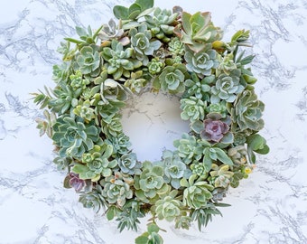 DIY Kit or Completed:  13” Living Succulent Wreath