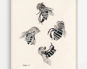 Blau banded Bee Formation