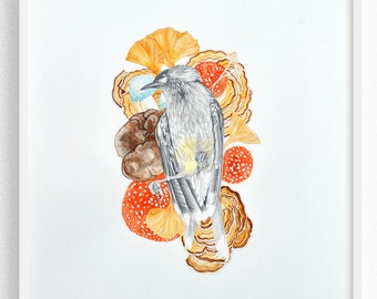 Wattle Bird Painting / Original Artwork / Watercolour and Pencil