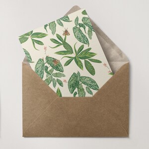 Mariposa e Planta / Cartão Presente Ilustrado / Cartão Reciclado /