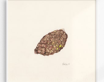 Pinecone Artwork / Watercolour Painting / Original Drawing / Nature Illustration