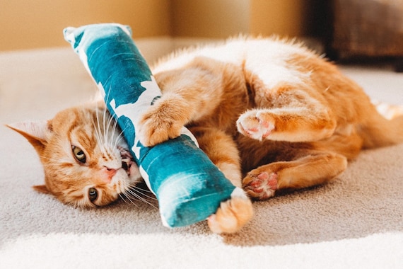 cat toys etsy
