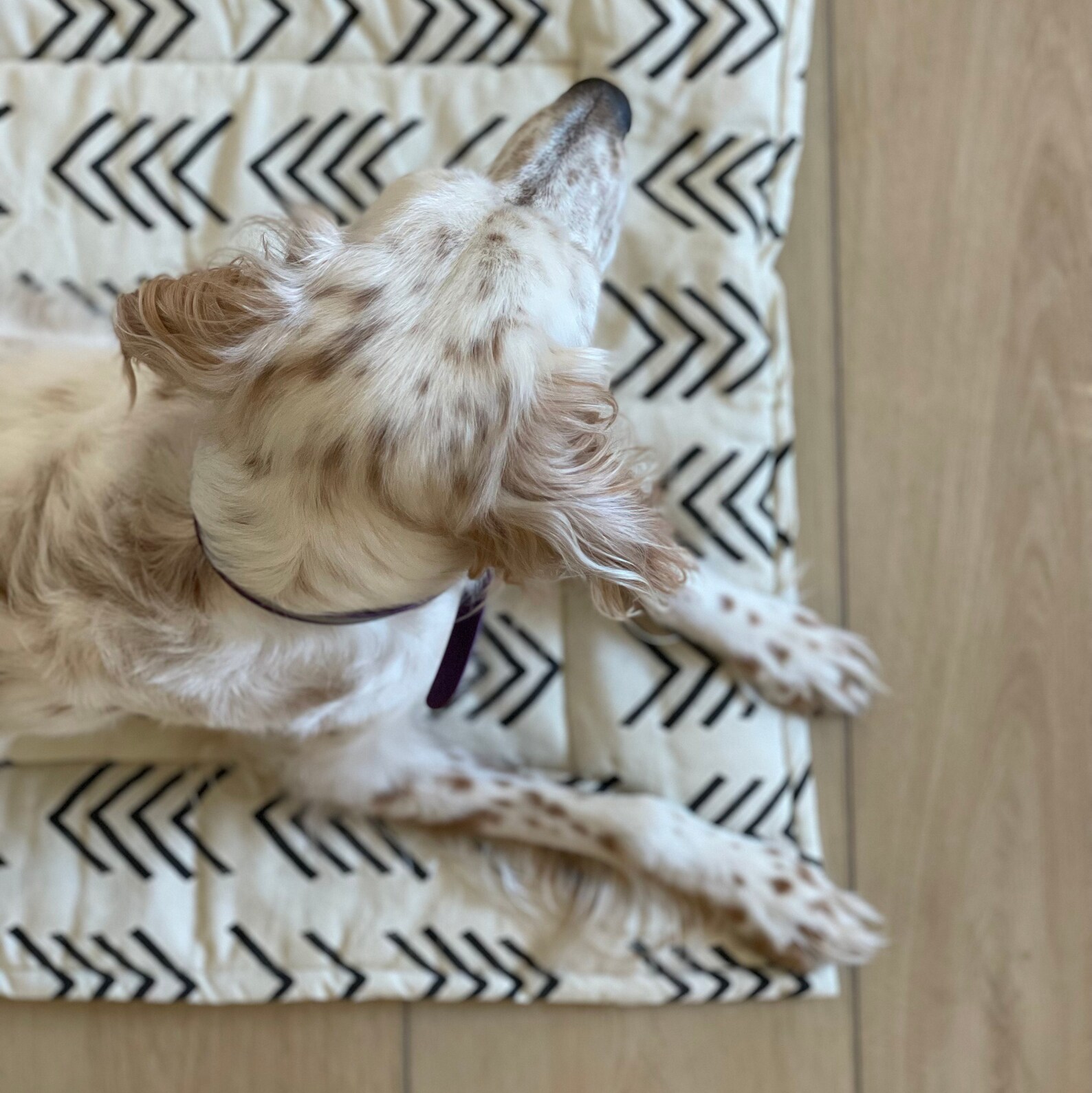 Custom Dog Kennel Cover Dog Crate Cover Made to Order Dog Etsy