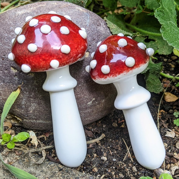 Mushroom Pipe