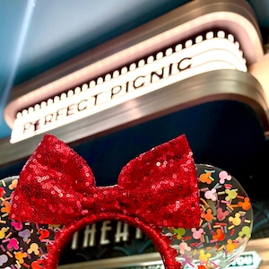 Resin Mouse Ears, Birthday Mouse Ears, Disney Inspired Ears