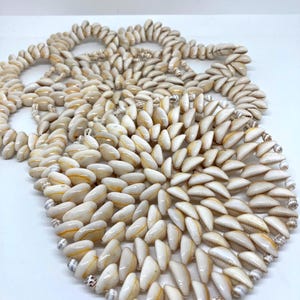 Vtg Cowrie Seashell Trivet  6” Boho Nautical Beach Decor Vintage Seashell Trivet Doily, Coastal Grandma Decor