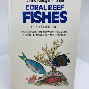 Może przedstawiać: Książka zatytułowana "Collins Handguide to the Coral Reef Fishes of the Caribbean". Okładka zawiera ilustracje kolorowych ryb i koralowców. Książka autorstwa F. Josepha Stokesa, ilustracje Charlotte C. Stokes.