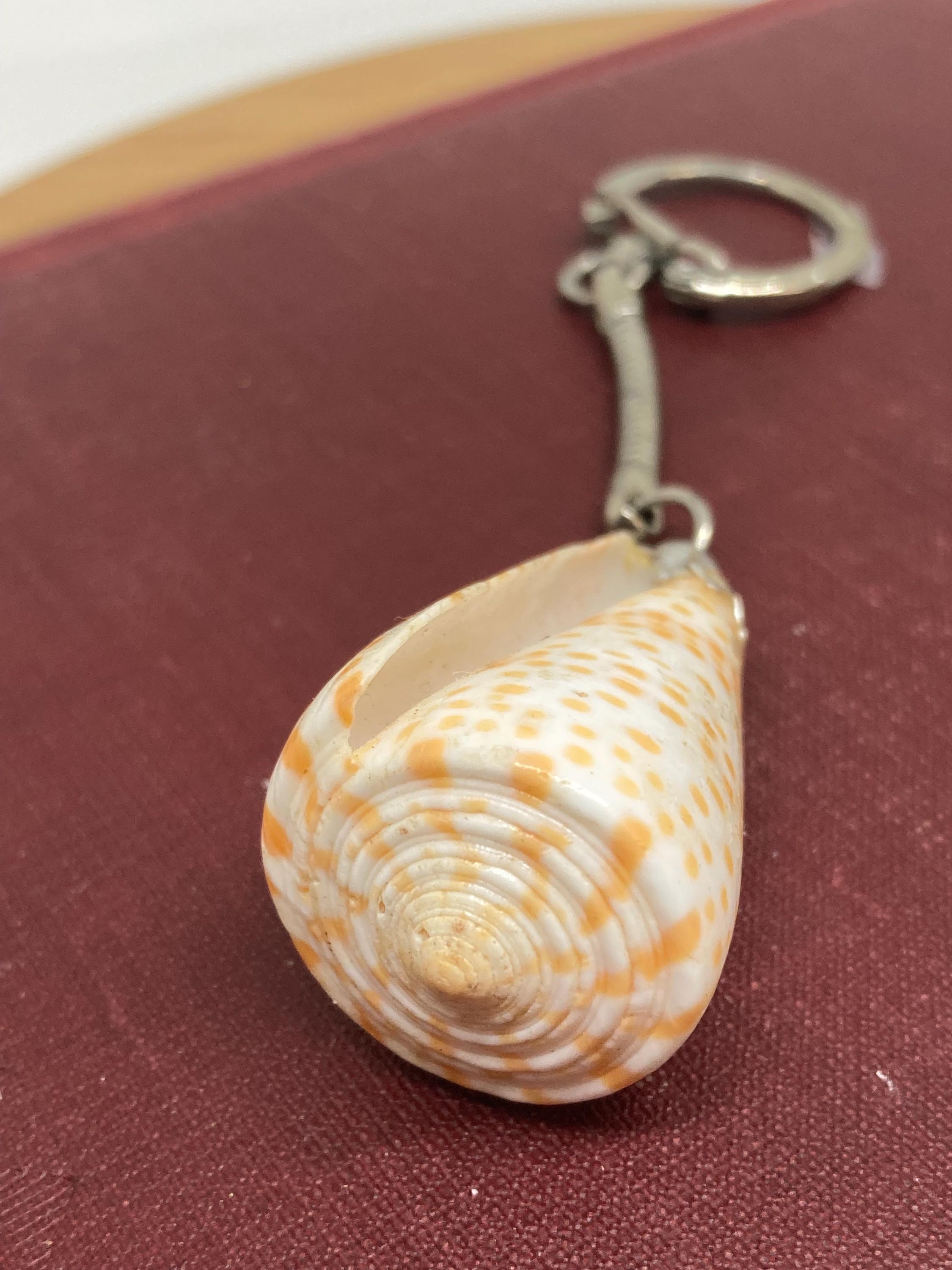 Shell Key Chain Consus Spurius Shell Gift For Beach Lover Sea Shell Collector