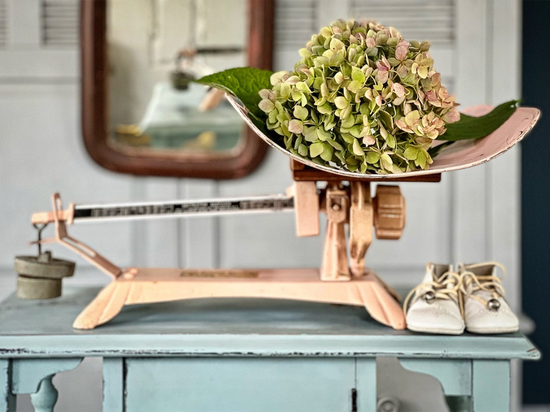 Vintage Pink Baby Scale by Defecto 1930s Antique Pink Decor for Baby