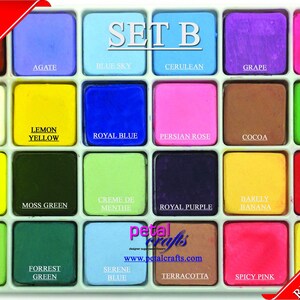 Petal Dust Palettes Set B x 24 MATT edible Craft sugar flowers cake decorating image 2