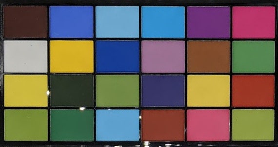 Petal Dust Palettes Set B x 24 MATT edible Craft sugar flowers cake decorating
