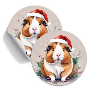 Aufkleber Meerschweinchen mit Nikolausmütze, Weihnachten, Papiersticker 30mm, 40mm 60mm, Geschenkaufkleber