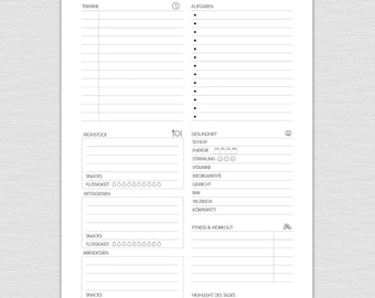 Daily planner to print out, fitness, appointments and tasks, A5 and A4, weight, BMI, muscle mass, fat measurements, meals, Fit_Day Planner 009