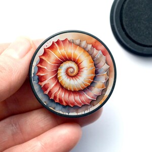 Könnte beinhalten: Ein runder Handyhalter mit einer detaillierten Illustration einer spiralförmigen Muschel. Die Muschel zeigt einen Farbverlauf, der von tiefem Rot und Orange an den Außenkanten bis hin zu einem blassen Creme und Weiß in der Mitte reicht.