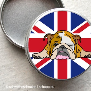 Minidose Englische Bulldogge Bild 1