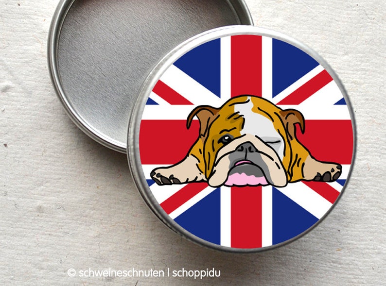 Minidose Englische Bulldogge Bild 1