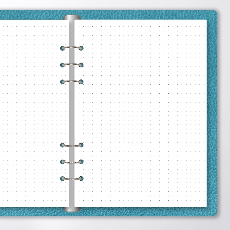 May include: A blue leather bound notebook with a white dotted page open. The notebook has a silver ring binder.