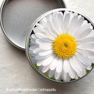 Minidose Daisies image 1