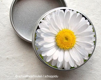 Minidose Daisies