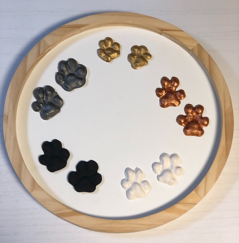 Dog Paw Print DIY Clay Kit Paw Casting Paw Prints Pet Etsy