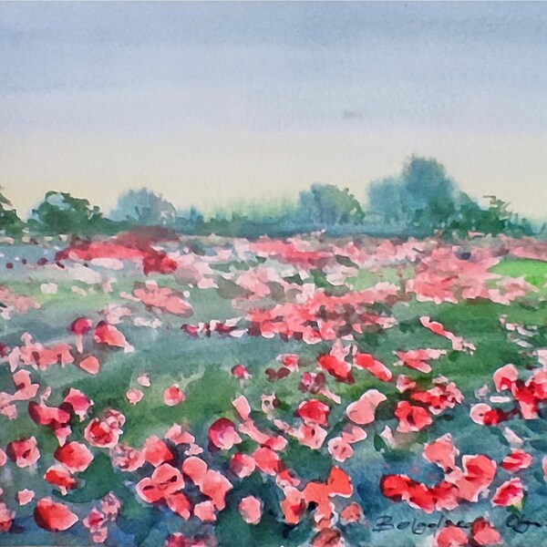 Acuarela de un campo de amapolas en la Toscana, obra de arte paisajística original, decoración campestre para el hogar.