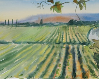 Toscane origineel schilderij 22 x 15" Provençaalse wijngaard landschap groot formaat aquarel