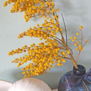Mimosa à fleurs séchées - Jaune naturel (@en stock)