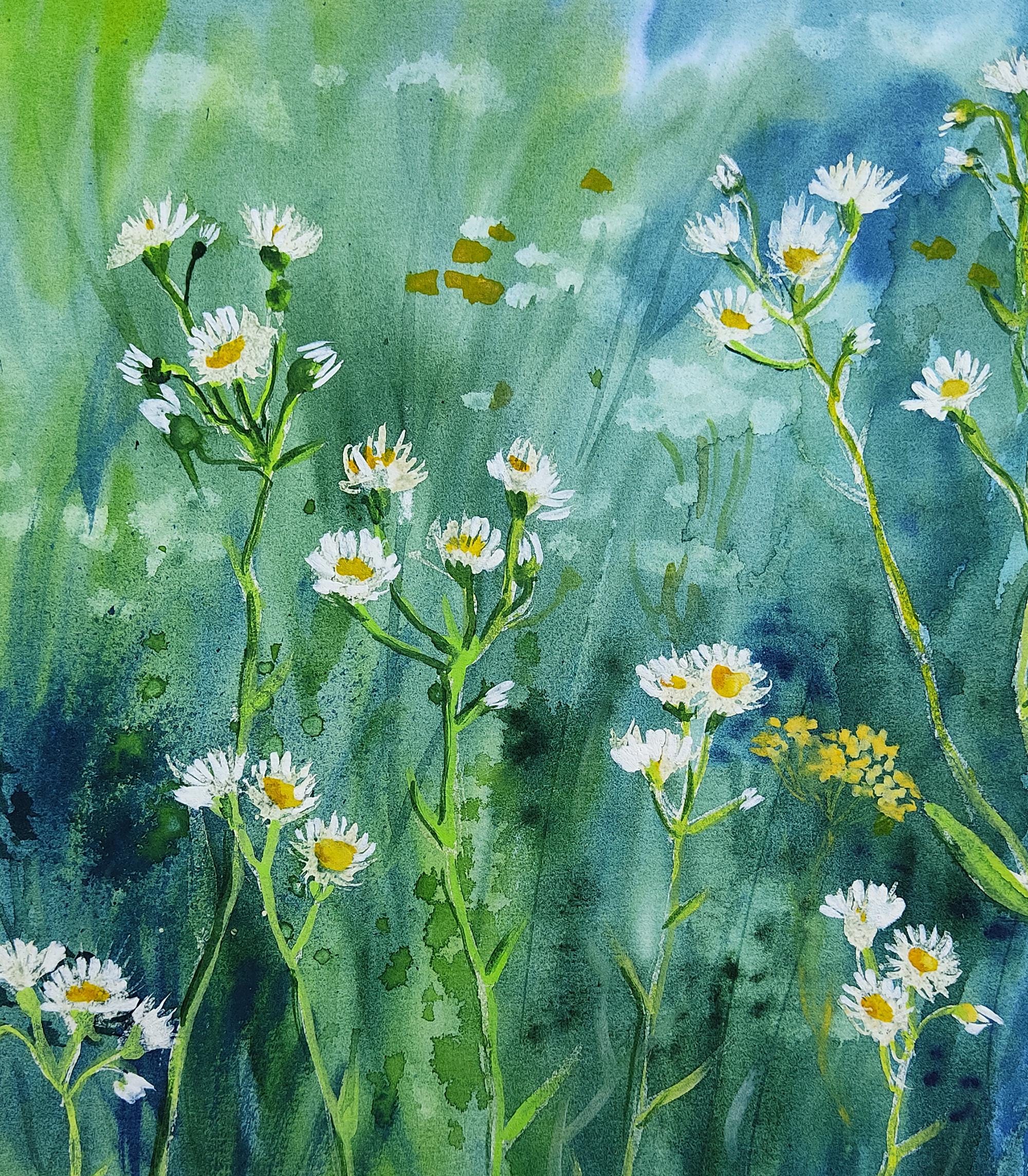Original Watercolor Painting – Wildflowers Field Art – Daisies