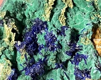 Azurite Rosette Crystals in Matrix, Morenci Mine Region, Arizona USA
