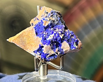 Azurietkristallen in Matrix, Morenci Mine Region, Arizona, VS