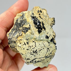 Andradite Garnet var. Melanite, on Matrix Black Garnet, Protection Stone, Grounding, Banish, Dispel Protect, AND1-0130
