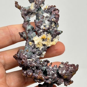 以下が含まれることがあります： 複雑で分岐した構造を持つ鉱物標本のクローズアップ。鉱物は、濃い赤茶色、緑色のパッチ、白と黄色の結晶のクラスターなど、色の混合を示しています。標本は手で持たれています。