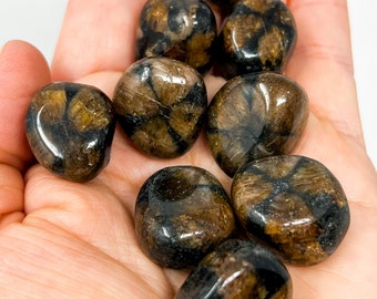 ONE Chiastolite Tumbled Stone