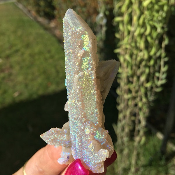 Mini Angel Aura Cactus Quartz, Fairy Quartz Crystal, Healing, Metaphysical, Rainbow Spirit Quartz, Love, Happiness, Harmony,SQAM5-0703