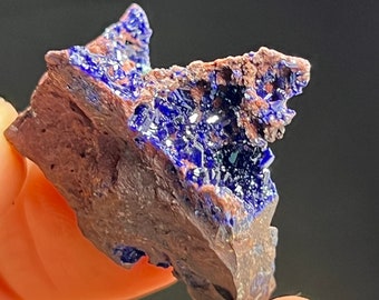 Azurite Crystals in Matrix, Morenci Mine Region, Arizona USA