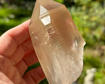 Bendy Golden Healer Lemurian Quartz, 286g Brazil