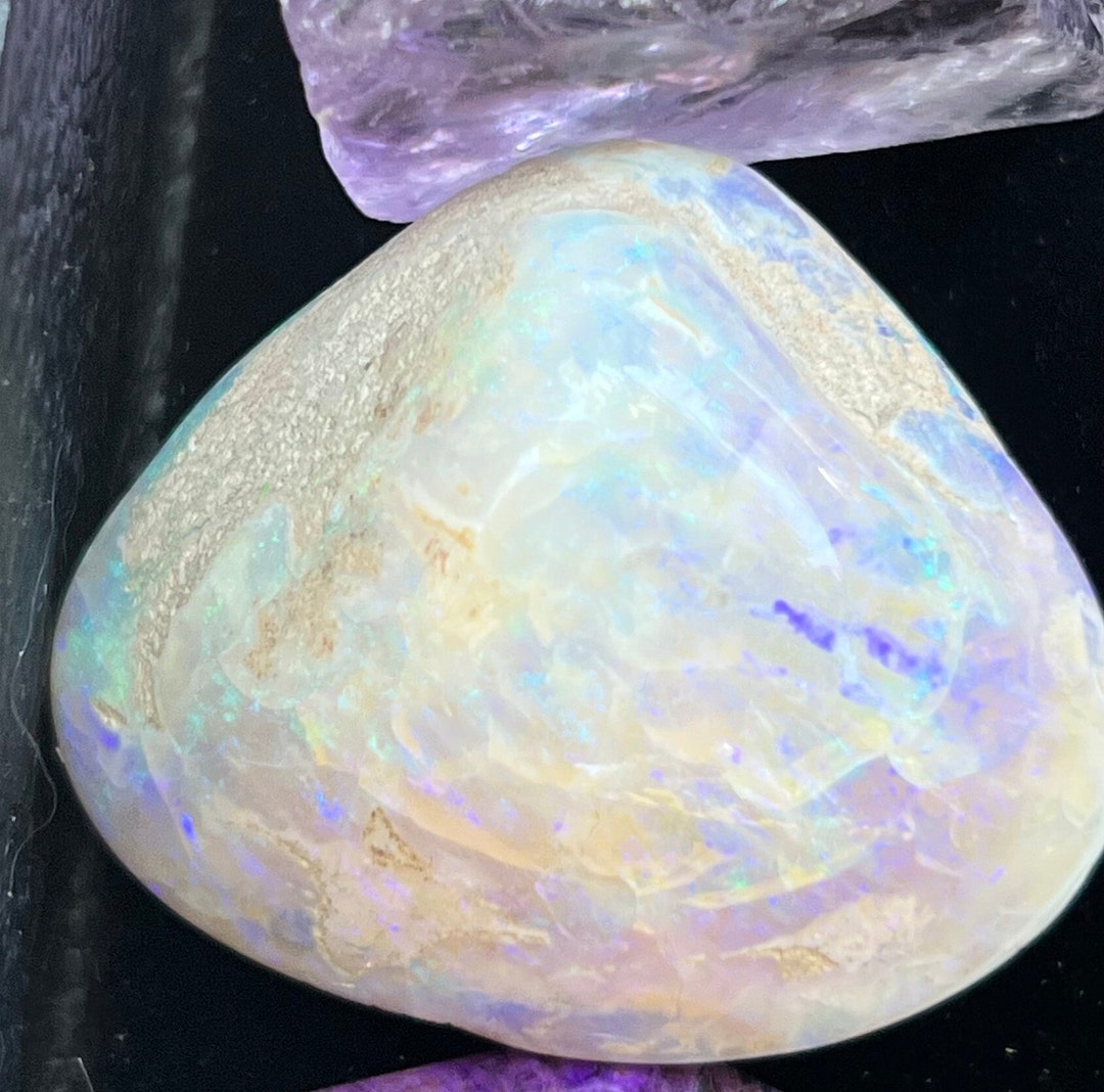 Opalized Clam Shell 128cts Coober Pedy Australia Iridescent Etsy