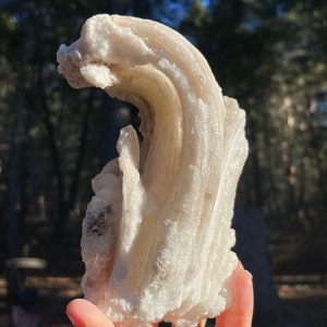 Large Rams Horn Gypsum Selenite, Mexico - self standing