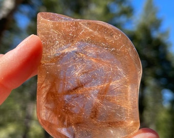 Prismatic Gold Rutile in Quartz, Lawrence Stoller, Brazil