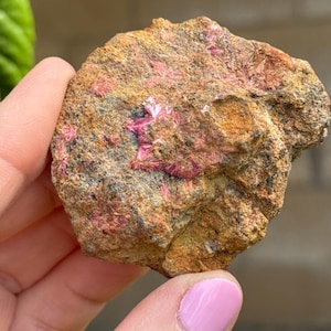 May include: A rough, irregularly shaped rock with a mix of brown, tan, and reddish-pink hues. The surface has a textured appearance, with small, crystal-like formations in shades of pink and red. The rock is held in a hand.
