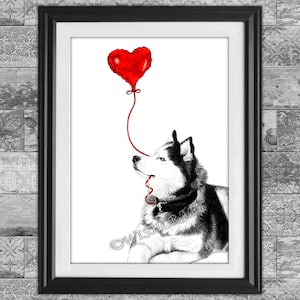 Siberian Husky Dog with heart balloon pencil drawing  art print