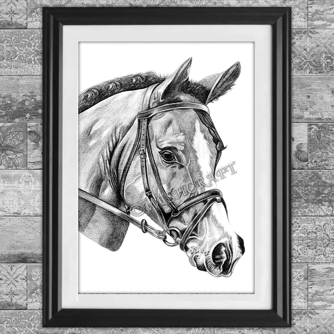 Horse Pencil Drawing Art Print - Etsy